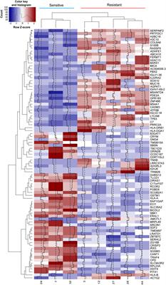 A gene expression signature in HER2+ breast cancer patients related to neoadjuvant chemotherapy resistance, overall survival, and disease-free survival